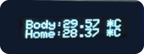 Digital thermometer display